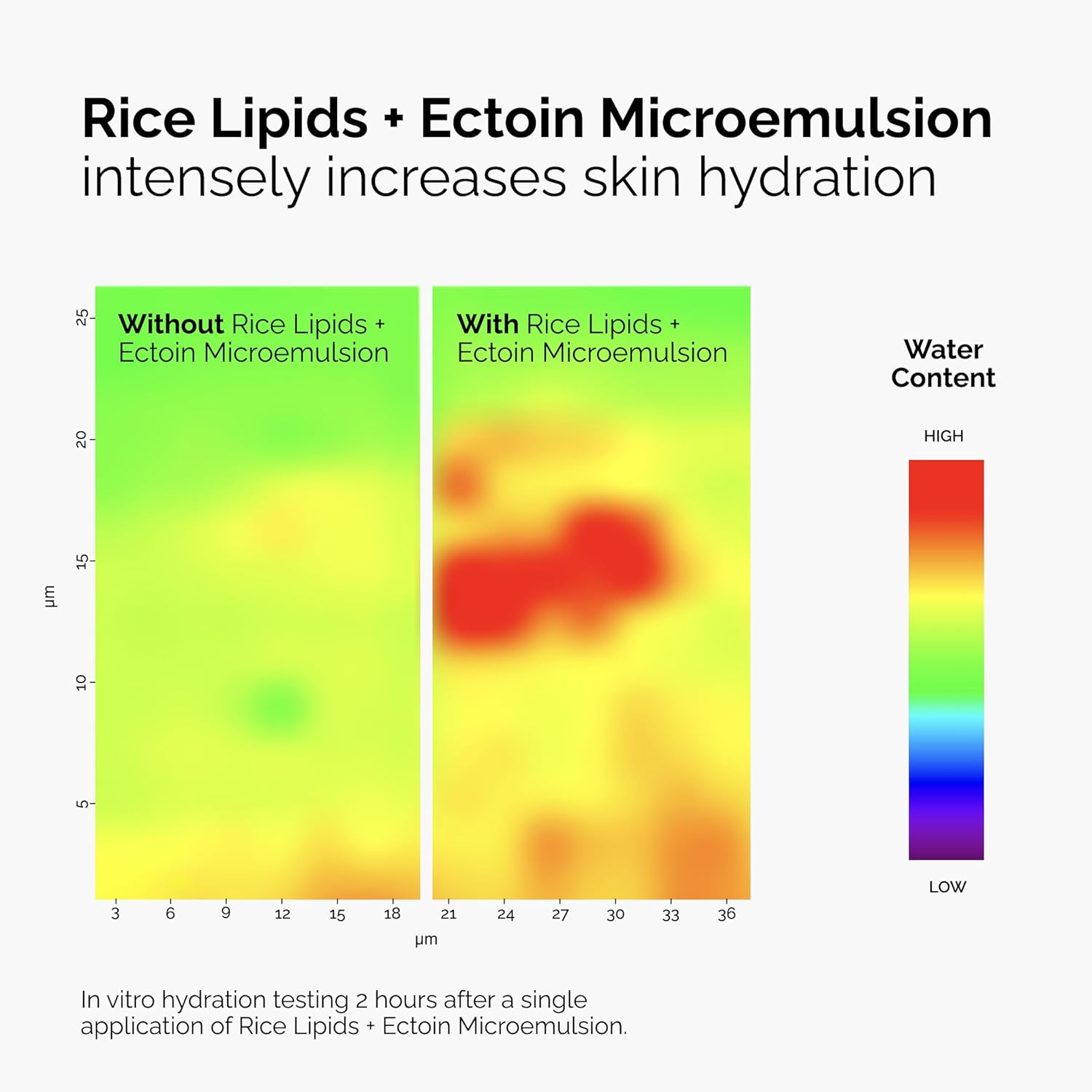The Ordinary Rice Lipids + Ectoin Microemulsion Moisturizer for Dry Skin, Soothing Hydration, Barrier Repair, Reduced Redness